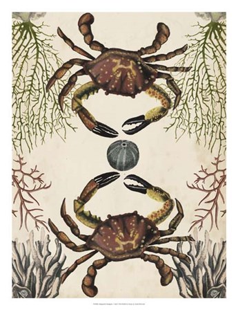 Antiquarian Menagerie - Crab by Naomi McCavitt art print