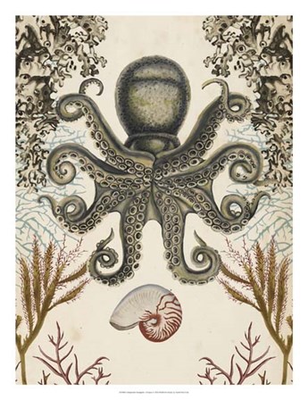 Antiquarian Menagerie - Octopus by Naomi McCavitt art print