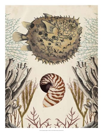 Antiquarian Menagerie - Puffer Fish by Naomi McCavitt art print