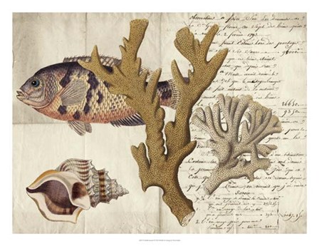 Sealife Journal I by Vision Studio art print