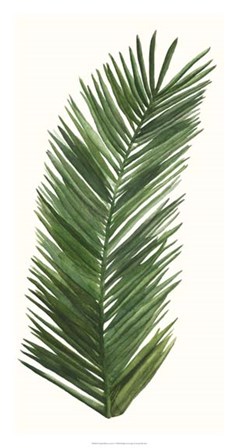 Tropical Breeze Leaves V by Naomi McCavitt art print