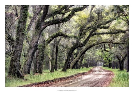 Dirt Road II by Danny Head art print