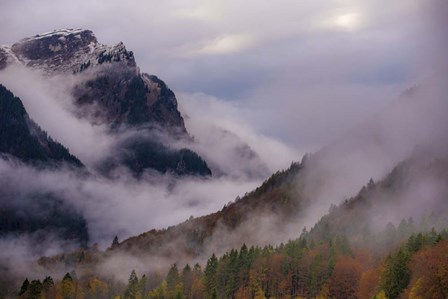 Mountain Fog by Dan Ballard art print