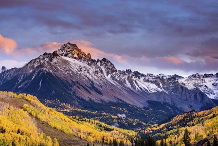 Mountain Foliage 02 by Dan Ballard art print