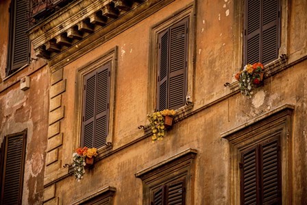 Shutters by Dan Ballard art print