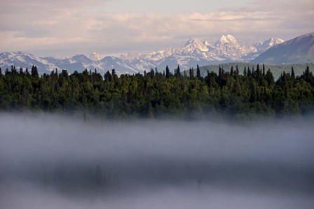 Fog by Dan Ballard art print