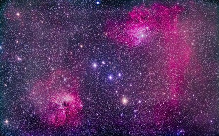 The Flaming Star Nebula in Auriga by Alan Dyer/Stocktrek Images art print