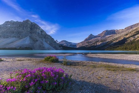 Twilight on Bow Lake, Banff National Park, Canada by Alan Dyer/Stocktrek Images art print