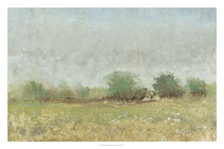 Spring Field II by Timothy O&#39;Toole art print