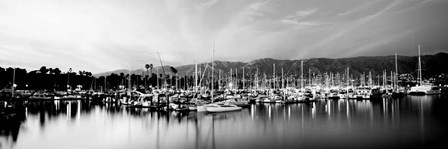 Boats moored in harbor at sunset, Santa Barbara Harbor, California by Panoramic Images art print