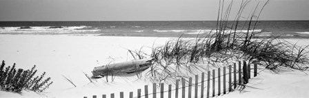 Fence on the beach, Alabama, Gulf of Mexico by Panoramic Images art print