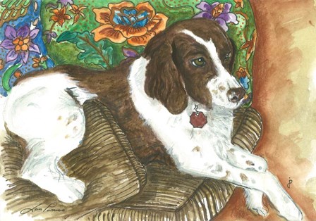 Chester by Jan Panico art print