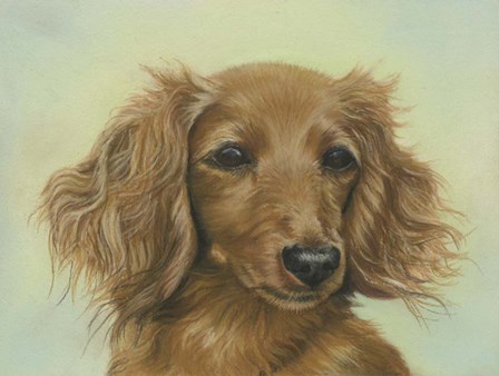 Sophie by Janet Pidoux art print