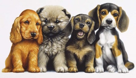 Young Dogs by Harro Maass art print