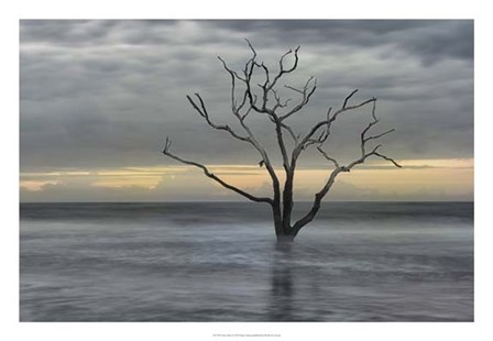 Gray Skies by Danny Head art print