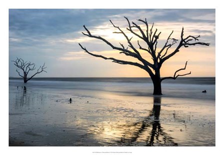 Reflections of Boneyard Beach by Danny Head art print