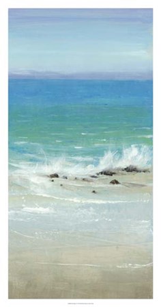 Salt Spray I by Timothy O&#39;Toole art print