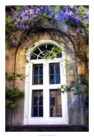 Wisteria by Danny Head art print