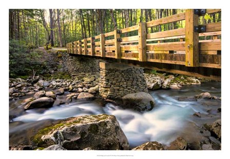 Bridge and Cascade II by Danny Head art print