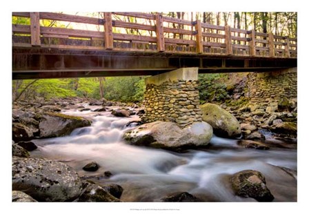 Bridge and Cascade III by Danny Head art print