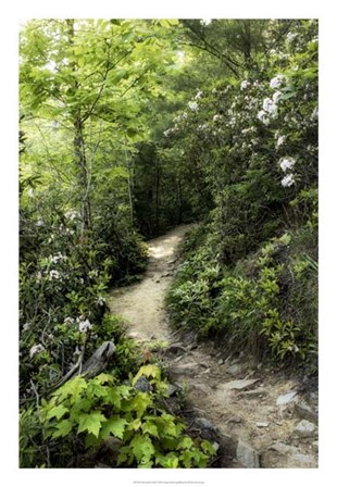 Mountain Trail by Danny Head art print