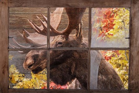 There&#39;s a Moose at the Window by Ramona Murdock art print