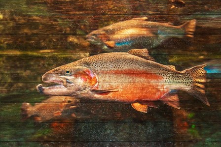 A Good Day to Be a Salmon by Ramona Murdock art print