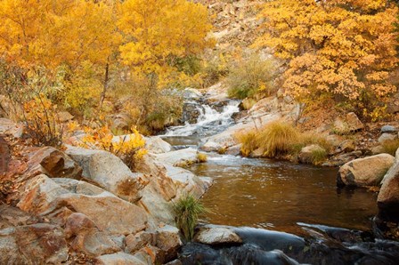 Fall Creek by Ramona Murdock art print