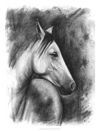 Charcoal Equestrian Portrait I by Naomi McCavitt art print