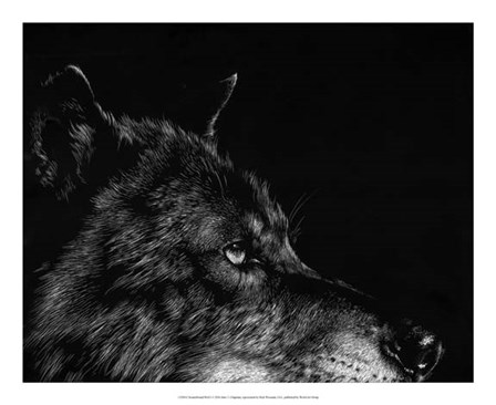 Scratchboard Wolf I by Julie Chapman art print