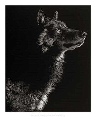 Scratchboard Wolf II by Julie Chapman art print