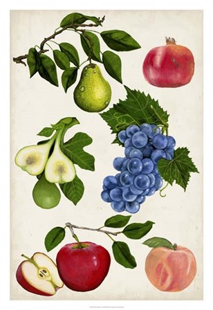 Fruit Collection I by Naomi McCavitt art print