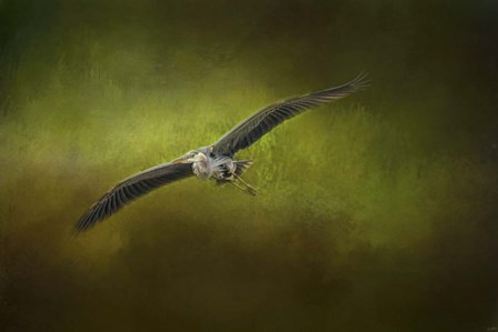 Great Blue Heron In The Grove by Jai Johnson art print