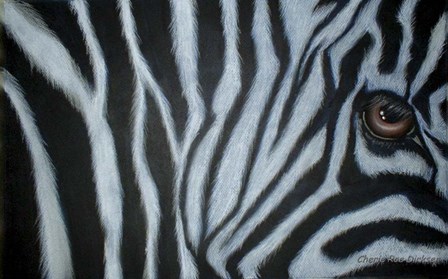 Zebra Eye by Cherie Roe Dirksen art print