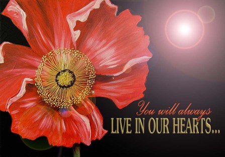 Bereavement Poppy by Cherie Roe Dirksen art print