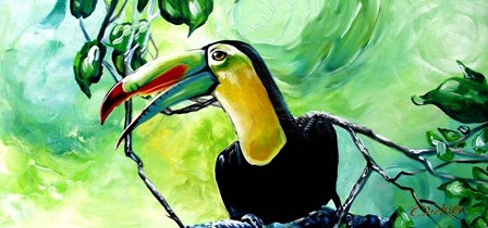 Macaw by Cherie Roe Dirksen art print