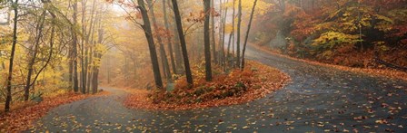 Winding Road Through Monadnock Mountain, New Hampshire by Panoramic Images art print
