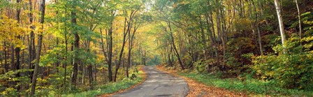 Road passing through autumn forest, Golf Link Road, Colebrook, New Hampshire by Panoramic Images art print