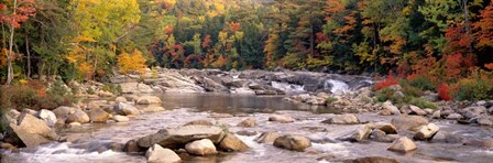 New Hampshire, White Mountains National Forest, River flowing through the wilderness by Panoramic Images art print