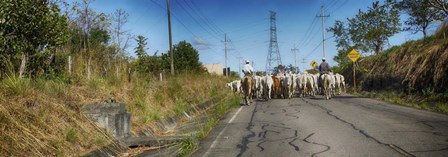 Men with Horses on Road, Costa Rica by Panoramic Images art print