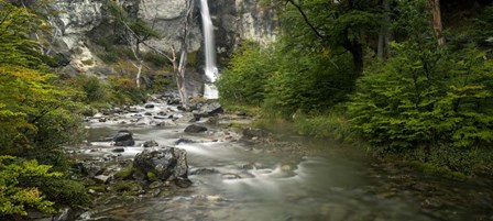Forest Waterfall, Patagonia, Argentina by Panoramic Images art print