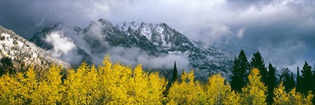 Mount Saint John, Grand Teton National Park, Wyoming by Panoramic Images art print