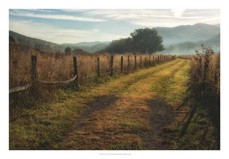 Grassy Lane by Danny Head art print