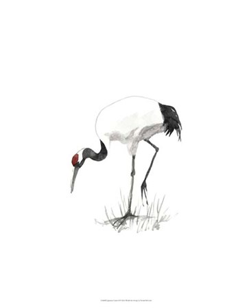 Japanese Cranes II by Naomi McCavitt art print