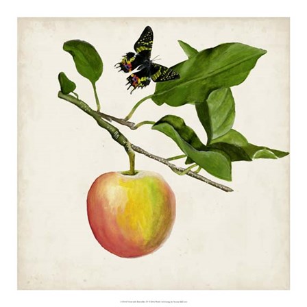 Fruit with Butterflies IV by Naomi McCavitt art print