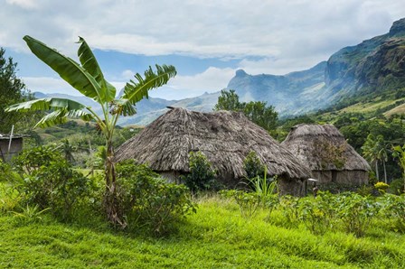 Traditional thatched roofed huts in Navala, Fiji by Michael Runkel / DanitaDelimont art print