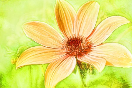 Daisy Sunshine by Ramona Murdock art print