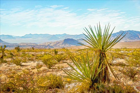 Utah Desert Yucca by Ramona Murdock art print