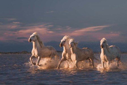 Angels Of Camargue 1 by Rostovskiy Anton art print