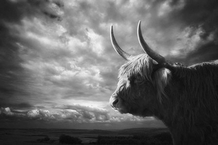 The Highlands by Holger Droste art print